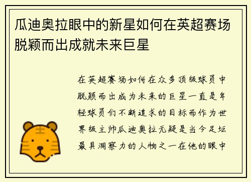 瓜迪奥拉眼中的新星如何在英超赛场脱颖而出成就未来巨星